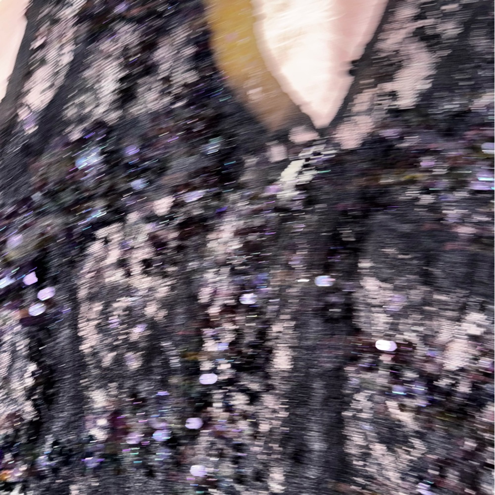 Intimately Free People Shimmer Stunner Sheer Lace Sequin Slip New with tag M - Picture 5 of 7